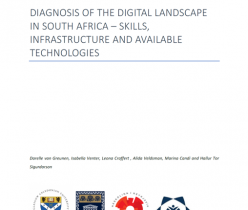Common Good First: Diagnosis of the Digital Landscape in South Africa 